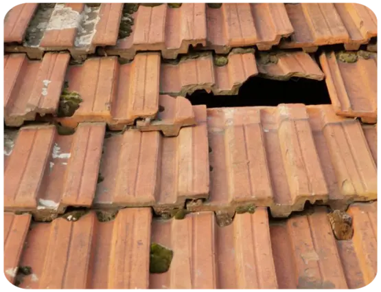Vérification de toiture fuite infiltration Le-Palais-sur-Vienne 87