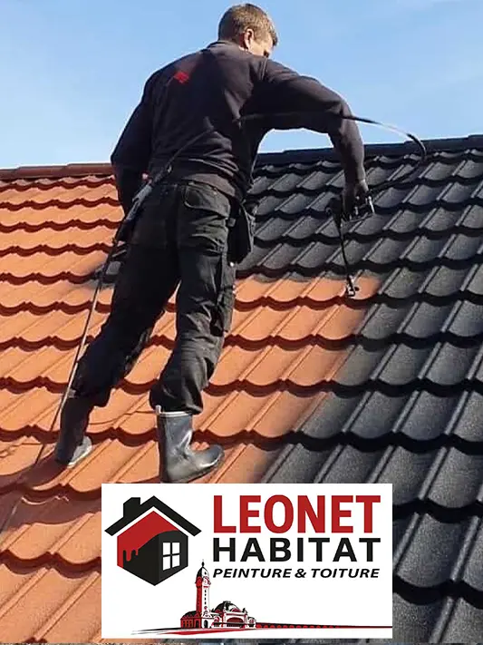Leonet Habitat Haute-Vienne 87 - Peintre & Traitement